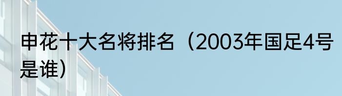 申花十大名将排名（2003年国足4号是谁）