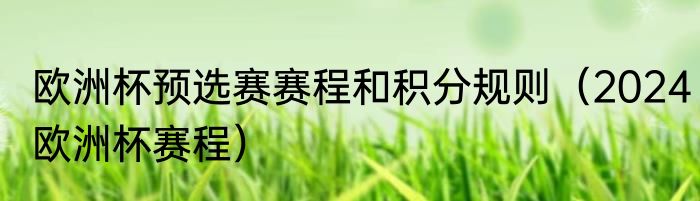 欧洲杯预选赛赛程和积分规则（2024欧洲杯赛程）