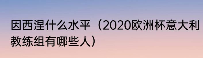 因西涅什么水平（2020欧洲杯意大利教练组有哪些人）