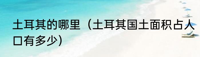 土耳其的哪里（土耳其国土面积占人口有多少）