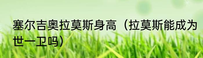 塞尔吉奥拉莫斯身高（拉莫斯能成为世一卫吗）