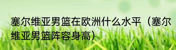 塞尔维亚男篮在欧洲什么水平（塞尔维亚男篮阵容身高）