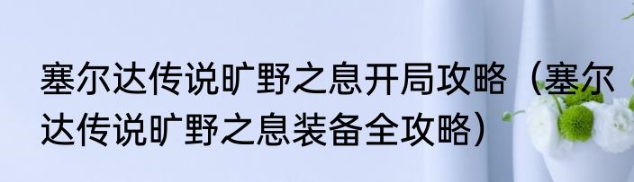 塞尔达传说旷野之息开局攻略（塞尔达传说旷野之息装备全攻略）