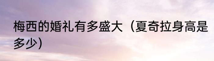 梅西的婚礼有多盛大（夏奇拉身高是多少）