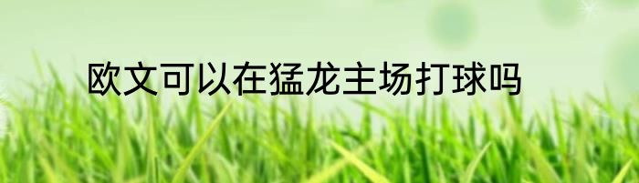 欧文可以在猛龙主场打球吗
