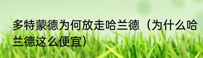 多特蒙德为何放走哈兰德（为什么哈兰德这么便宜）