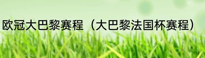 欧冠大巴黎赛程（大巴黎法国杯赛程）