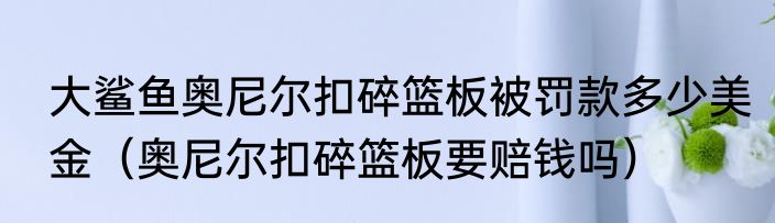 大鲨鱼奥尼尔扣碎篮板被罚款多少美金（奥尼尔扣碎篮板要赔钱吗）