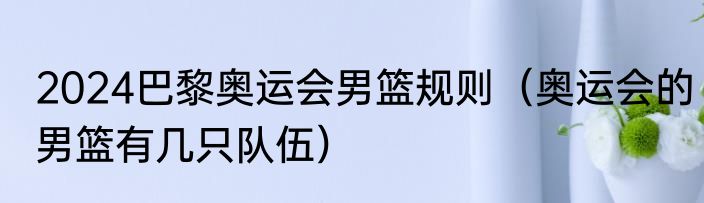 2024巴黎奥运会男篮规则（奥运会的男篮有几只队伍）