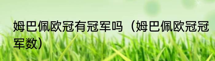 姆巴佩欧冠有冠军吗（姆巴佩欧冠冠军数）