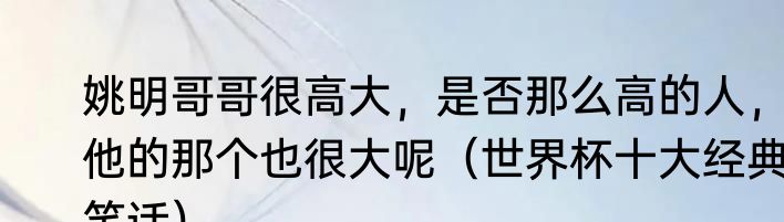 姚明哥哥很高大，是否那么高的人，他的那个也很大呢（世界杯十大经典笑话）