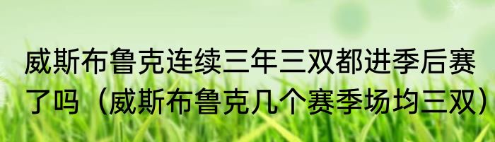威斯布鲁克连续三年三双都进季后赛了吗（威斯布鲁克几个赛季场均三双）