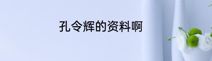孔令辉的资料啊