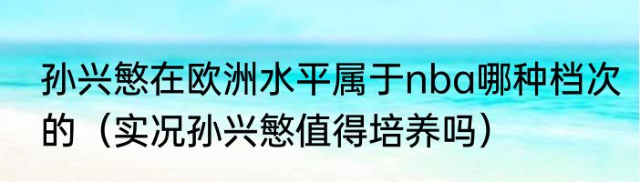 孙兴慜在欧洲水平属于nba哪种档次的（实况孙兴慜值得培养吗）