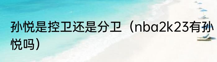 孙悦是控卫还是分卫（nba2k23有孙悦吗）