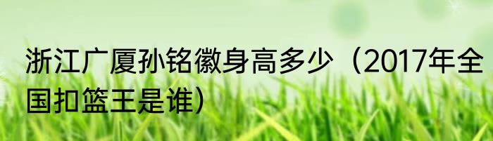 浙江广厦孙铭徽身高多少（2017年全国扣篮王是谁）