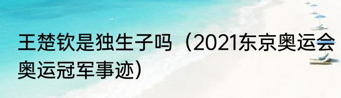 王楚钦是独生子吗（2021东京奥运会奥运冠军事迹）