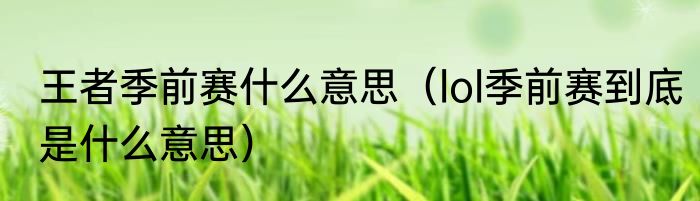 王者季前赛什么意思（lol季前赛到底是什么意思）