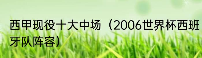 西甲现役十大中场（2006世界杯西班牙队阵容）