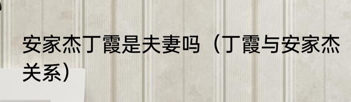 安家杰丁霞是夫妻吗（丁霞与安家杰关系）