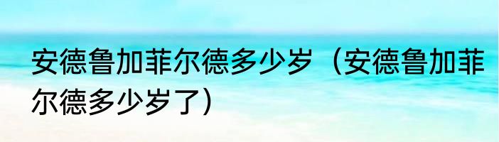 安德鲁加菲尔德多少岁（安德鲁加菲尔德多少岁了）