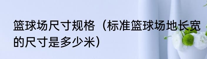 篮球场尺寸规格（标准篮球场地长宽的尺寸是多少米）