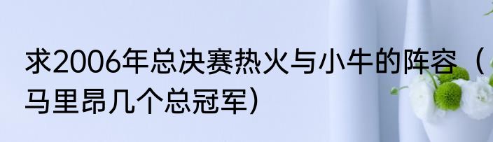 求2006年总决赛热火与小牛的阵容（马里昂几个总冠军）