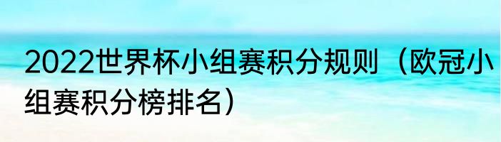2022世界杯小组赛积分规则（欧冠小组赛积分榜排名）