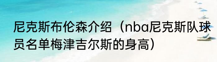 尼克斯布伦森介绍（nba尼克斯队球员名单梅津吉尔斯的身高）