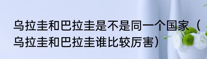 乌拉圭和巴拉圭是不是同一个国家（乌拉圭和巴拉圭谁比较厉害）