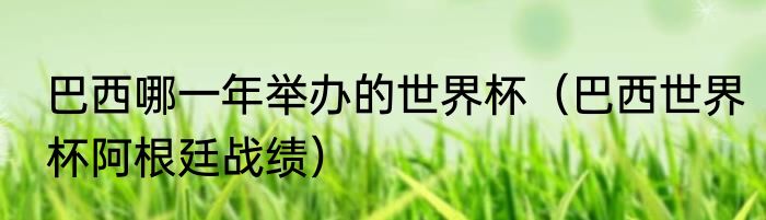 巴西哪一年举办的世界杯（巴西世界杯阿根廷战绩）