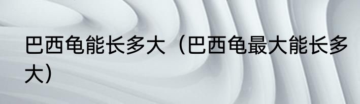 巴西龟能长多大（巴西龟最大能长多大）