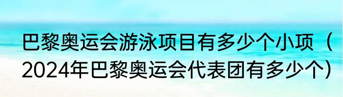 巴黎奥运会游泳项目有多少个小项（2024年巴黎奥运会代表团有多少个）