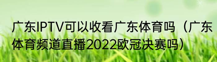 广东IPTV可以收看广东体育吗（广东体育频道直播2022欧冠决赛吗）