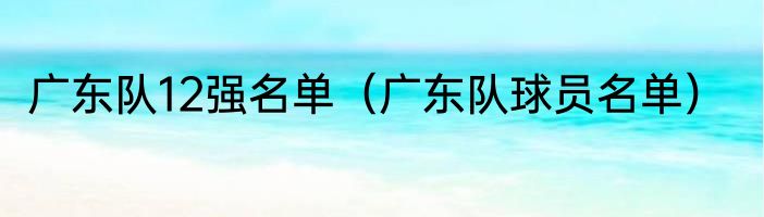 广东队12强名单（广东队球员名单）