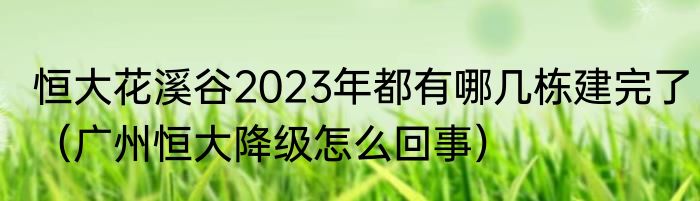 恒大花溪谷2023年都有哪几栋建完了(广州恒大降级怎么回事)