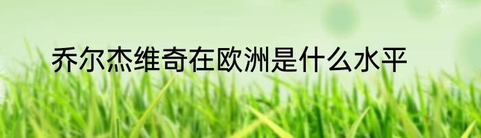 乔尔杰维奇在欧洲是什么水平