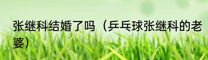 张继科结婚了吗（乒乓球张继科的老婆）