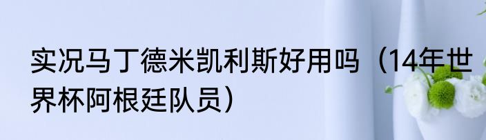 实况马丁德米凯利斯好用吗（14年世界杯阿根廷队员）