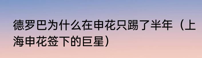 德罗巴为什么在申花只踢了半年（上海申花签下的巨星）