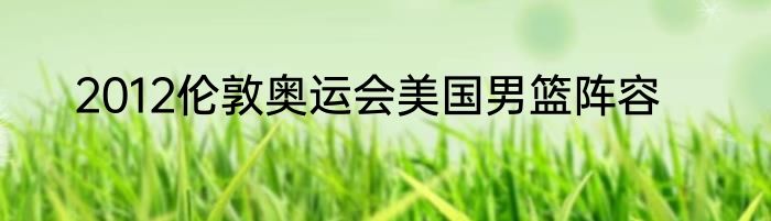 2012伦敦奥运会美国男篮阵容