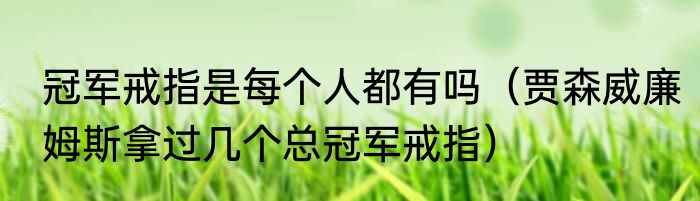 冠军戒指是每个人都有吗（贾森威廉姆斯拿过几个总冠军戒指）
