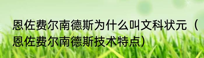 恩佐费尔南德斯为什么叫文科状元（恩佐费尔南德斯技术特点）