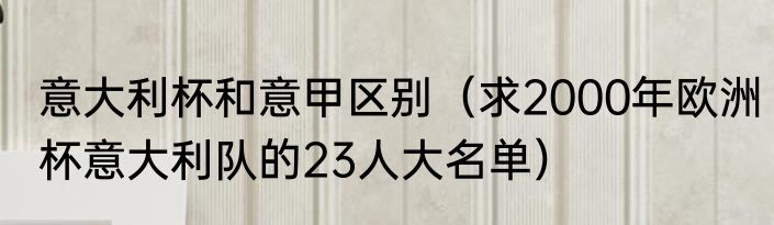 意大利杯和意甲区别（求2000年欧洲杯意大利队的23人大名单）
