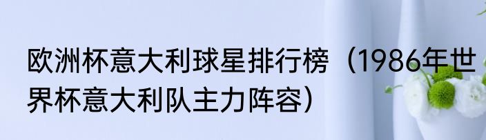 欧洲杯意大利球星排行榜（1986年世界杯意大利队主力阵容）