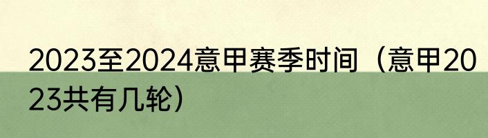 2023至2024意甲赛季时间（意甲2023共有几轮）