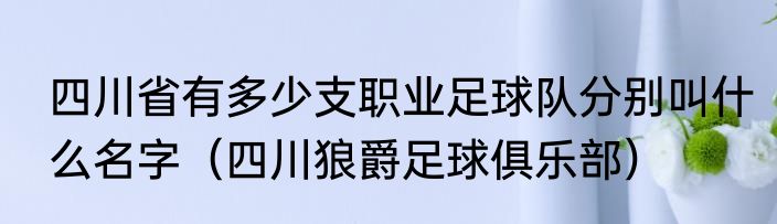 四川省有多少支职业足球队分别叫什么名字（四川狼爵足球俱乐部）