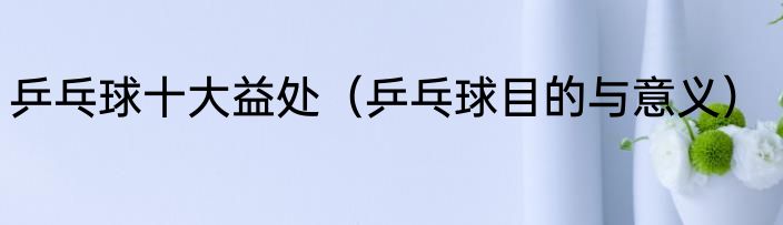乒乓球十大益处（乒乓球目的与意义）