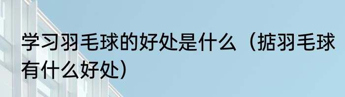 学习羽毛球的好处是什么（掂羽毛球有什么好处）