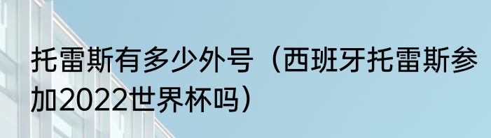 托雷斯有多少外号（西班牙托雷斯参加2022世界杯吗）
